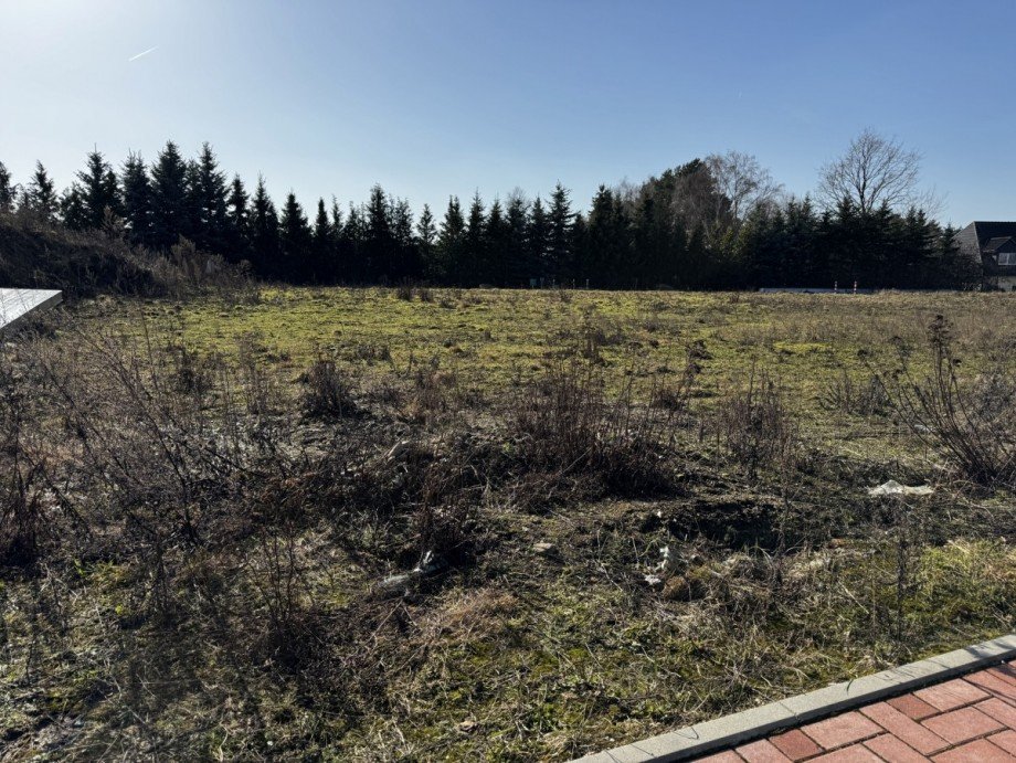 Foto Grundst�ck Einfamilienhaus Weyhausen