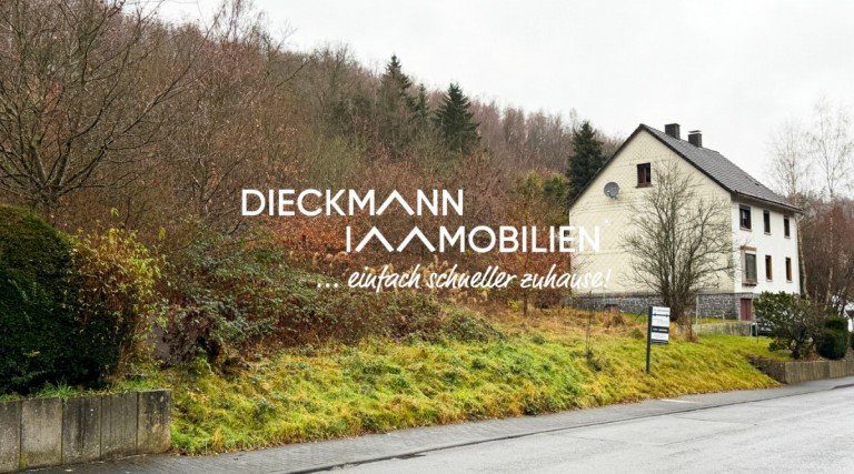 Grundst�ck Niederdreisbach Einfamilienhaus Wohnen im Eigenheim! Ihr Einfamilienhaus in Niederdreisbach!